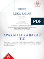 Referat Luka Bakar