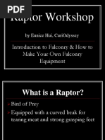 Raptor Workshop