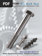 Big Bolt Nut Brochure.pdf