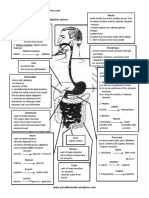 human-digestive-pdf.pdf