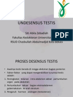 Undesensus Testis