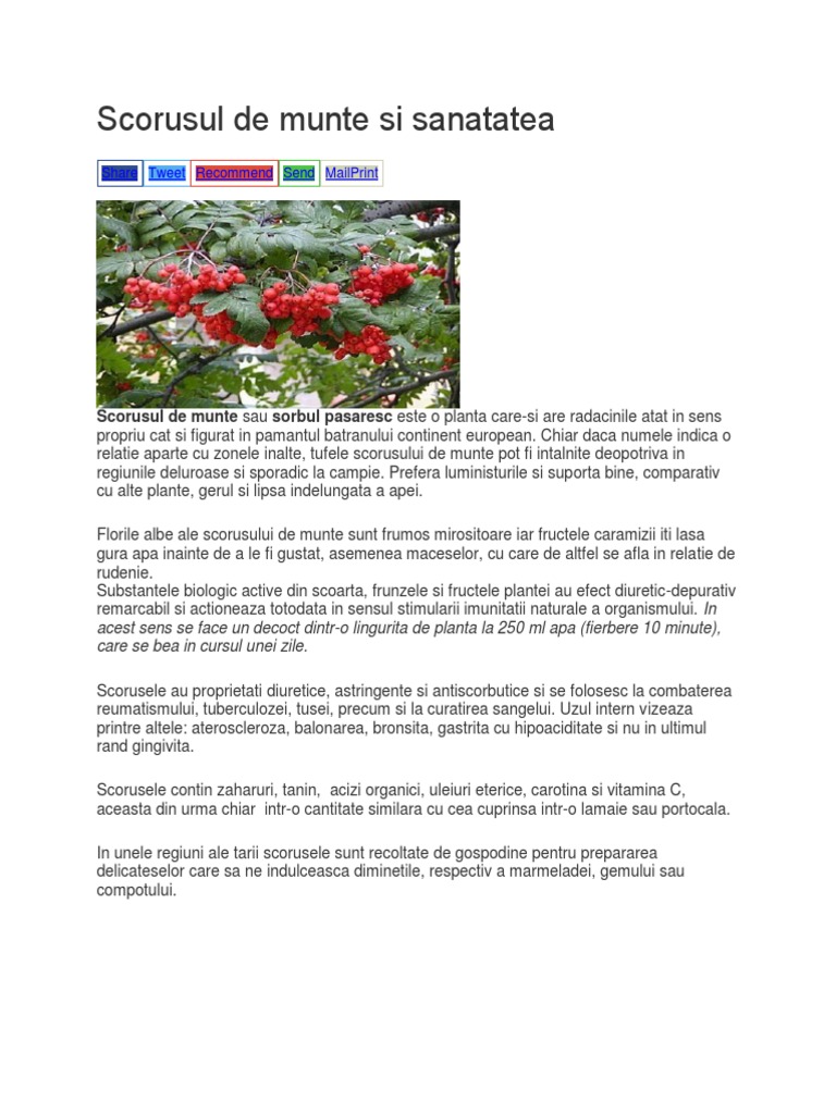 Scorusul de Munte Si Sanatatea | PDF