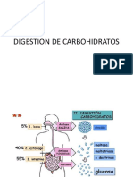 Digestion de Carbohidratos