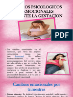 cambios psicologico y emocionales durante el embarazo.pptx