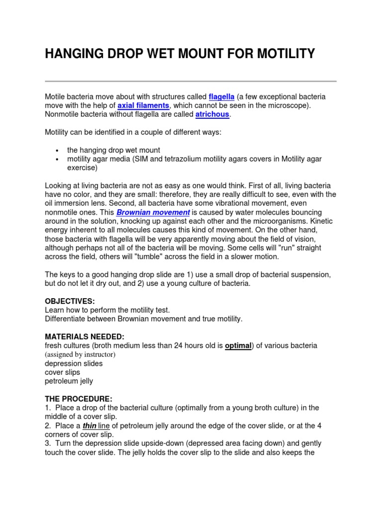 Hanging Drop Method for Bacterial Motility | PDF | Home & Garden