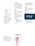 Enfermedades Del Sistema Circulatorio