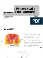 Anorectal Abscess Treatment