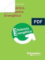 Guia practica de EE.pdf