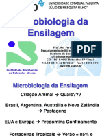 Aula Ensilagem