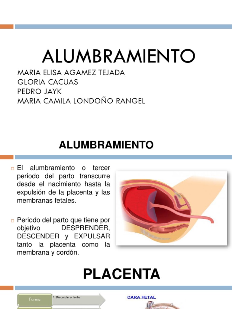 Alumbramiento 2 Placenta Parto