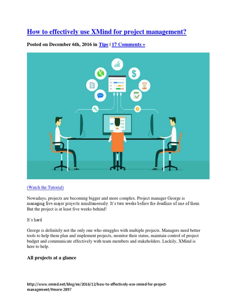 How To Effectively Use XMind For Project Management PDF Project