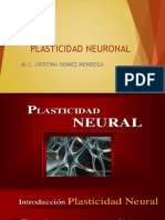 Neuro Plasticidad