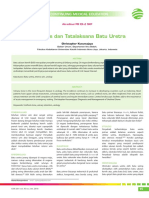 07_261CME-Diagnosis dan Tatalaksana Batu Uretra.pdf