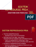 10a. Reproduksi Pria