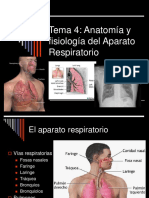 aparato_respiratorio.ppt