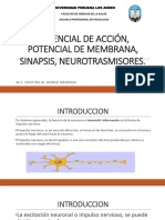 NEUROTRASMISORES.pptx