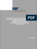 PERFIL_INSTRUCTOR_SNF (1).pdf