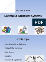 Skeletal & Muscular Systems: First Year Science