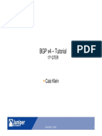 Tutorial-BGP.pdf