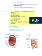 Anatomy Alimentary System Full Version