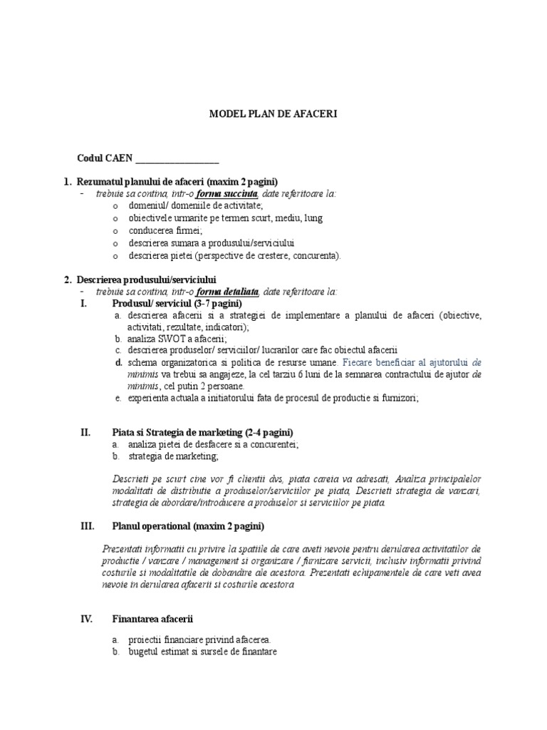 Model Plan de Afaceri PDF