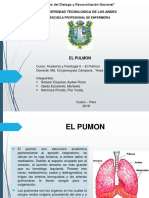EL PULMON