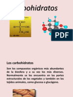 Clase Carbohidratos FMH