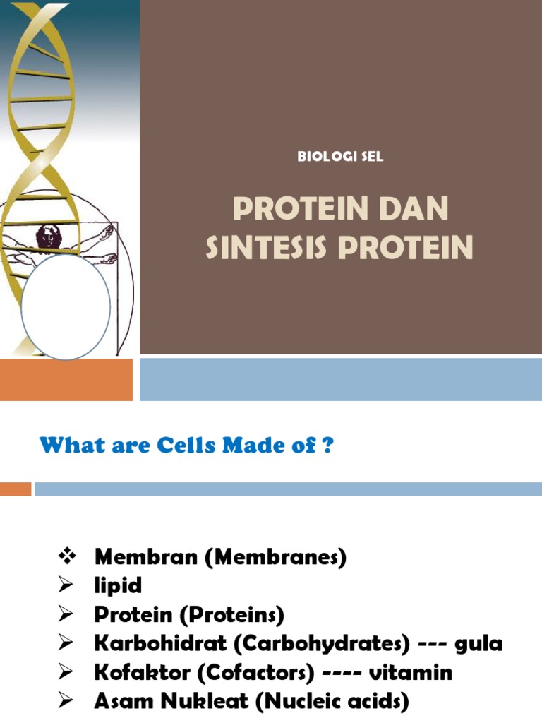 Biologi Sel: Sintesis Protein | PDF