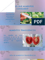 Alimentos transgenicos
