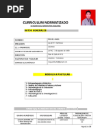 Curriculum Normatizado 1