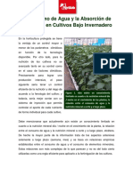 163 El Consumo de Agua y La Absorcion de Nutrientes