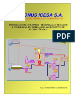 fluido termico.pdf