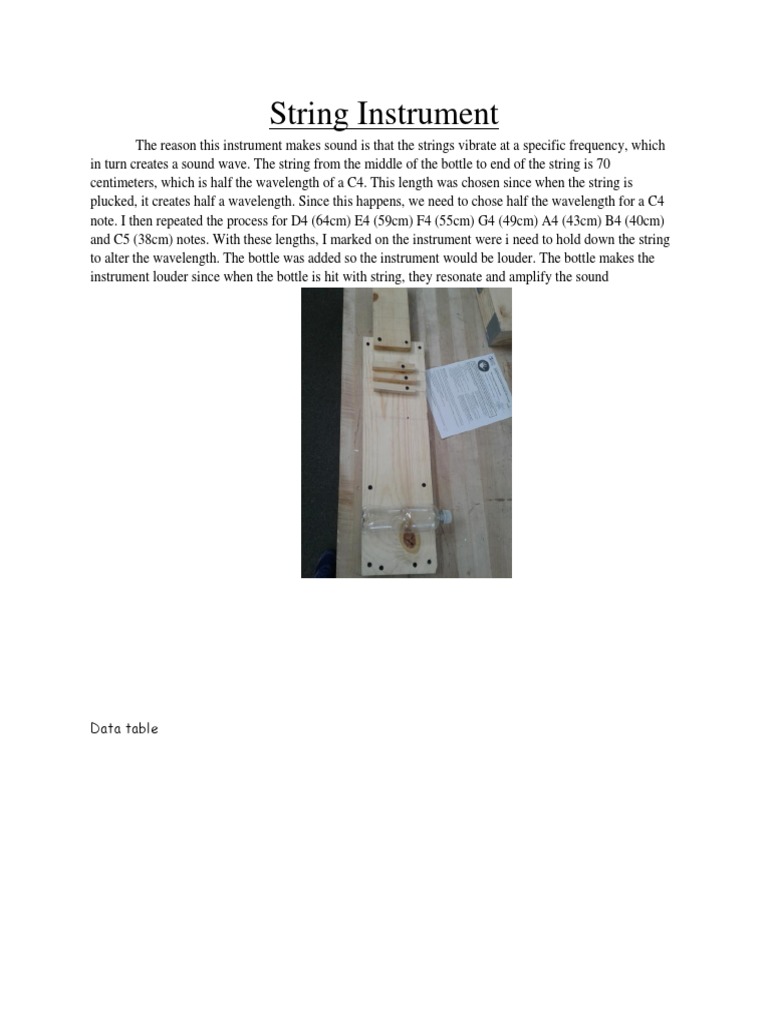 Instrument Document PDF