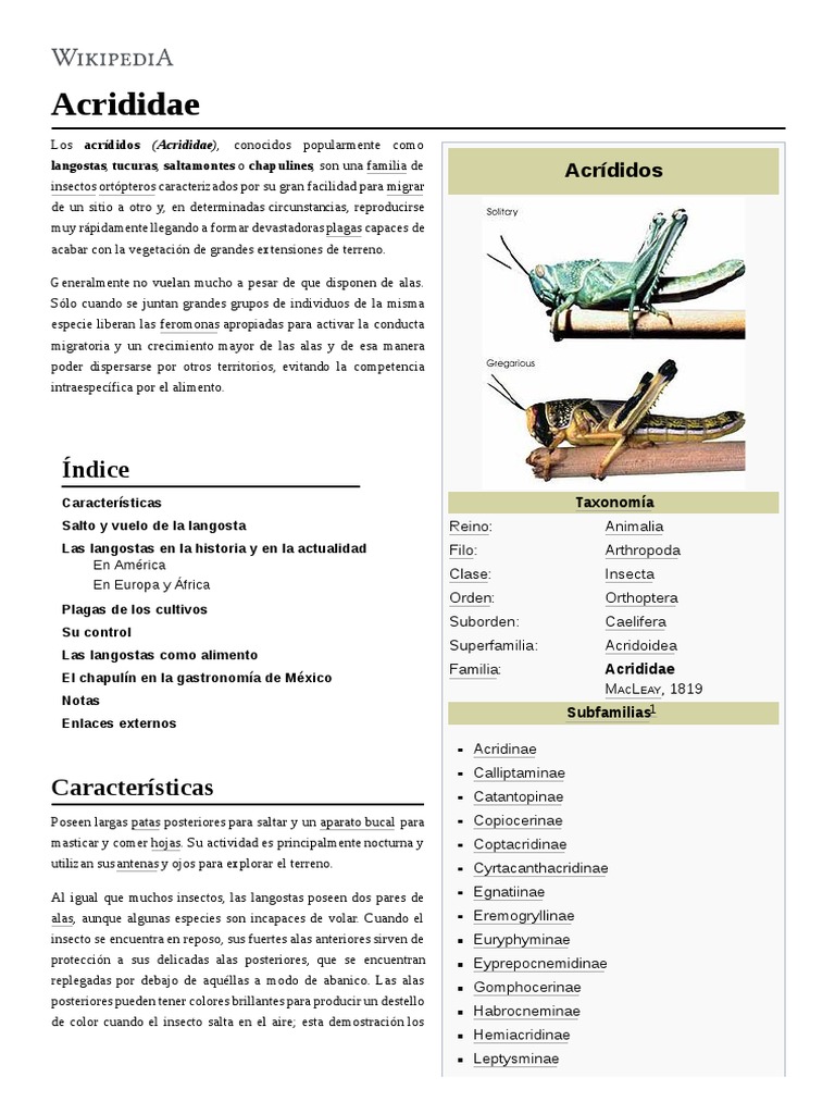 Acrididae | PDF | Alimentos | Naturaleza