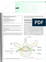 cap 8. Médula espinal.pdf
