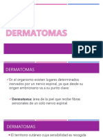 Dermatomas: áreas de la piel inervadas por nervios espinales