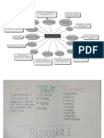 Cuadros Biologia