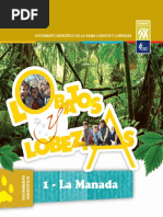 Documentos de Programa - MANADA 1.pdf