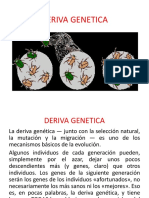 Deriva Genetica