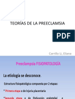 Teorías de La Preeclamsia