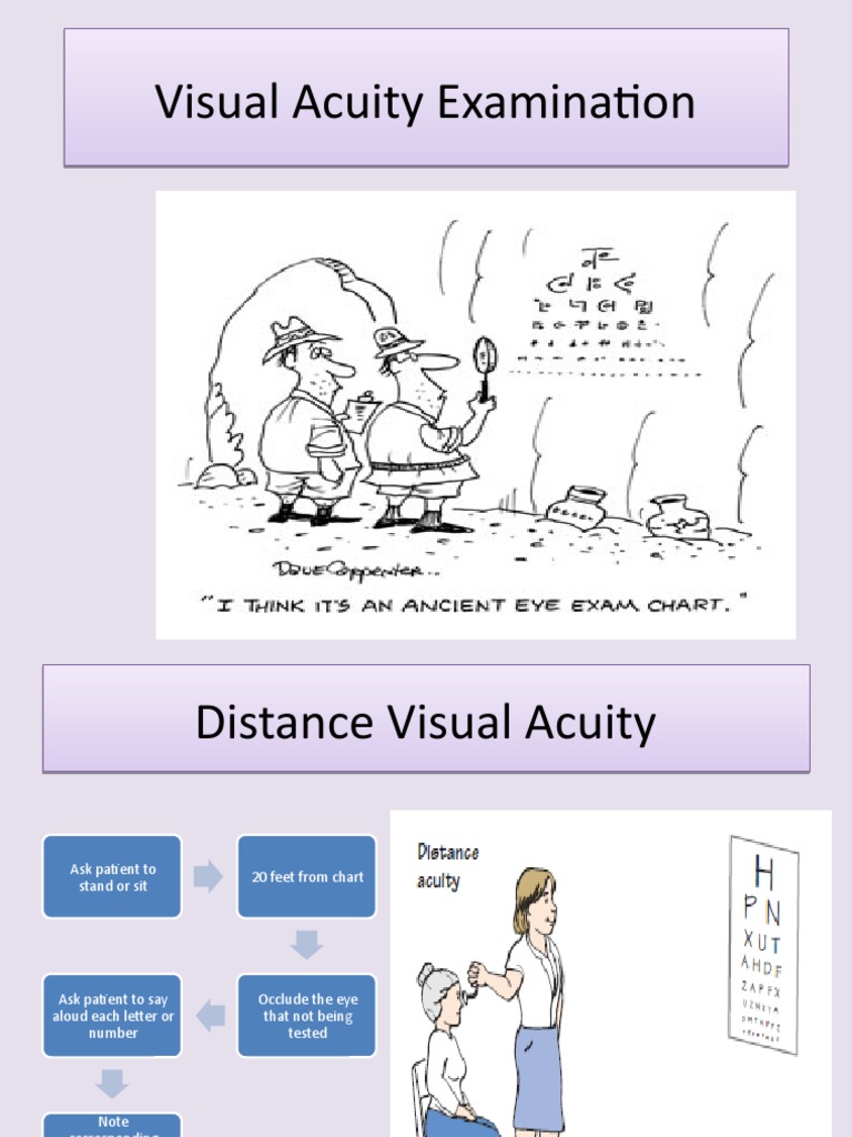 Visual Acuity Testing Procedures Guide | PDF | Visual Acuity ...