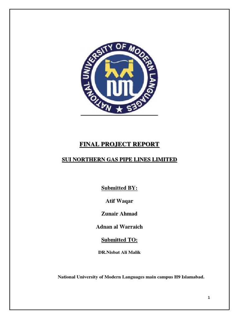 Final Project Report CPM | PDF | Performance Appraisal | Employment