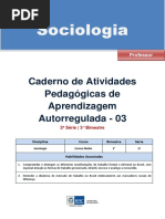 263527101 Apostila Sociologia 2 Ano 3 Bimestre Professor (2)