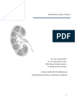 Insuficiencia renal cronica.pdf