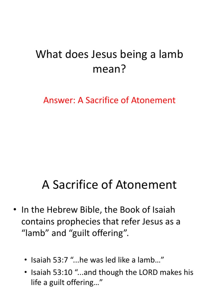 What Does Jesus Being A Lamb Mean PDF Sacrifice Sin