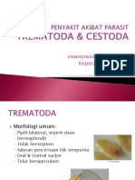 Trematoda & Cestoda-Sis