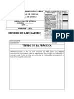 Machote Informe Completo Con Rúbrica