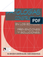 217760624 Patologias Causas y Soluciones PDF