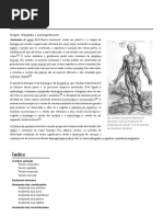 Anatomia