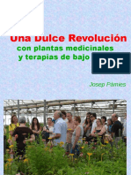 PDF Plantas Medicinales Remedios Naturales Josep Pamies Dulce Revolucion España PDF